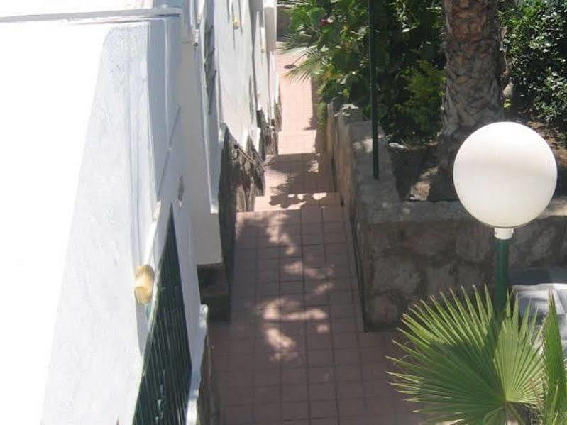 Apartamentos Laguna Puerto Rico  Zewnętrze zdjęcie